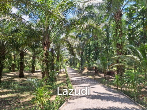 Unbeatable Value! 17 Rai of Stunning Land.