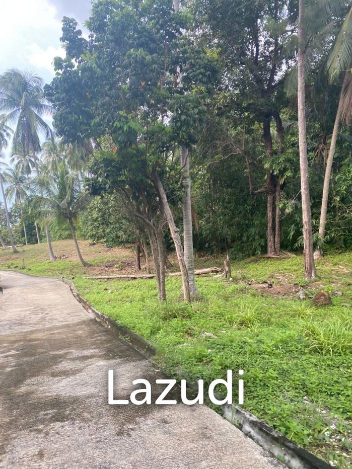 รูป 32,000.0 ตร.ม.ที่ดินสำหรับ ขายใน เกาะพะงัน - รูปที่ 8/14