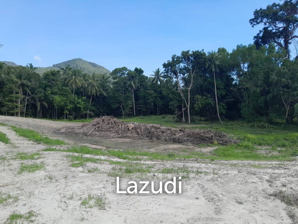 รูป 19,586.0 ตร.ม.ที่ดินสำหรับ ขายใน เกาะพะงัน - รูปที่ 5/18