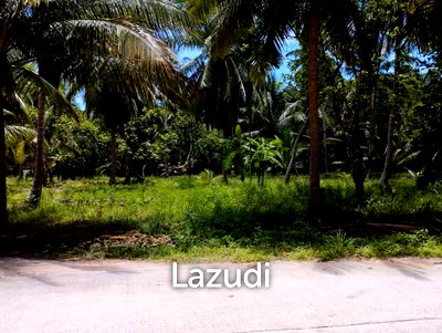 ที่ดิน สุราษฎร์ธานี : 12,332.0 ตร.ม.ที่ดินสำหรับ ขายใน บ้านใต้