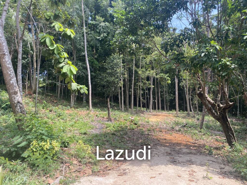 picture Riverside Bliss: 1784 Sqm Land near Elephant Sanctuary, Temple, and Waterfall in Maduwan – A Tranquil Haven with Natures Embrace - 2/11