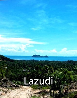 ที่ดิน เกาะพะงัน สุราษฎร์ธานี : 2,956.0 ตร.ม.ที่ดินสำหรับ ขายใน เกาะพะงัน