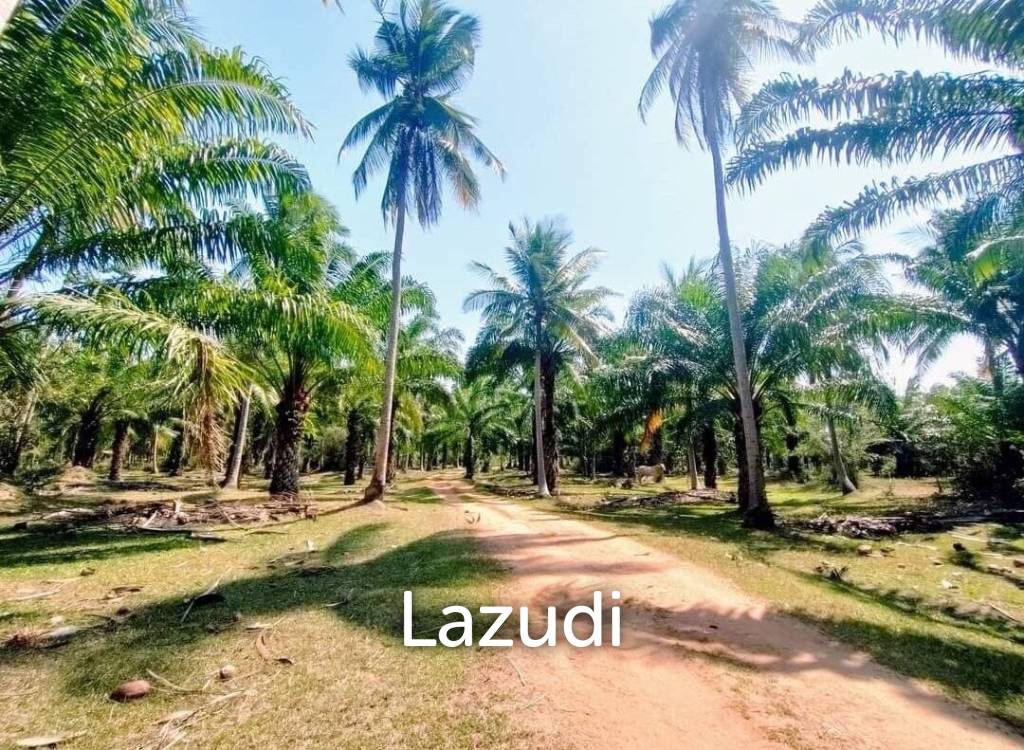 รูป 15-3-96 Rai Land Plot For Sale In Bang Sapan - รูปที่ 7/11