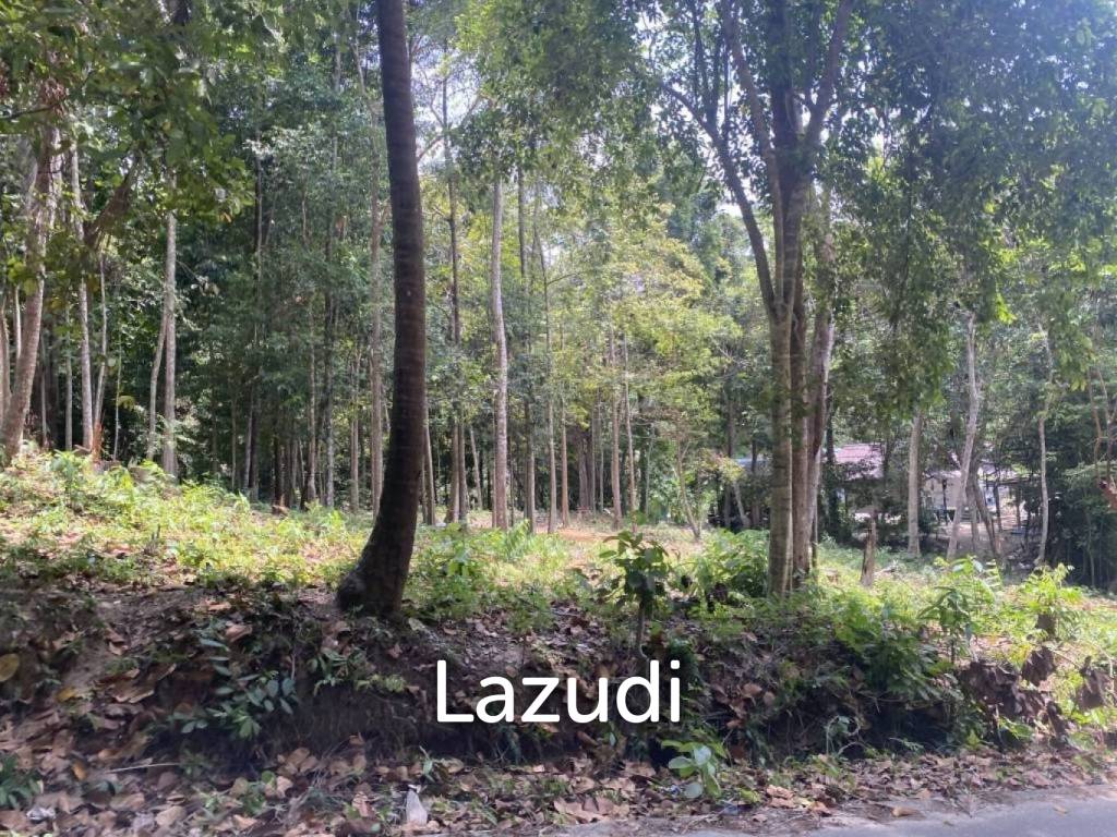 picture Riverside Bliss: 1784 Sqm Land near Elephant Sanctuary, Temple, and Waterfall in Maduwan – A Tranquil Haven with Natures Embrace - 4/11