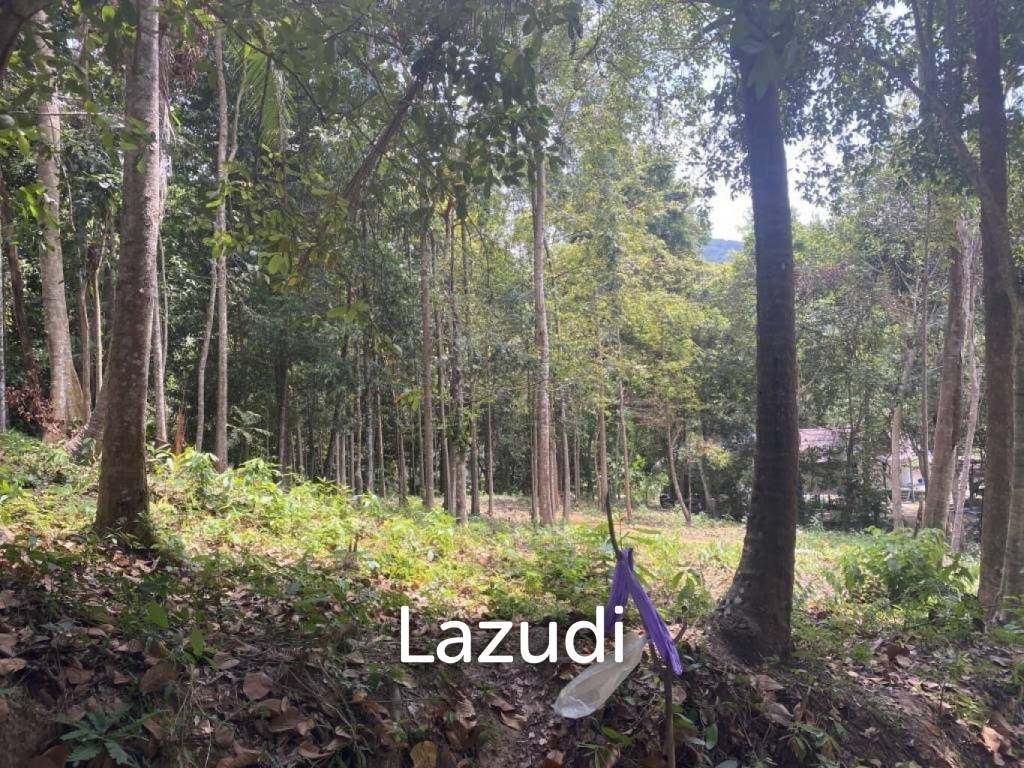 picture Riverside Bliss: 1784 Sqm Land near Elephant Sanctuary, Temple, and Waterfall in Maduwan – A Tranquil Haven with Natures Embrace - 1/11