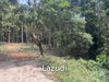 listing thumbnail image 9