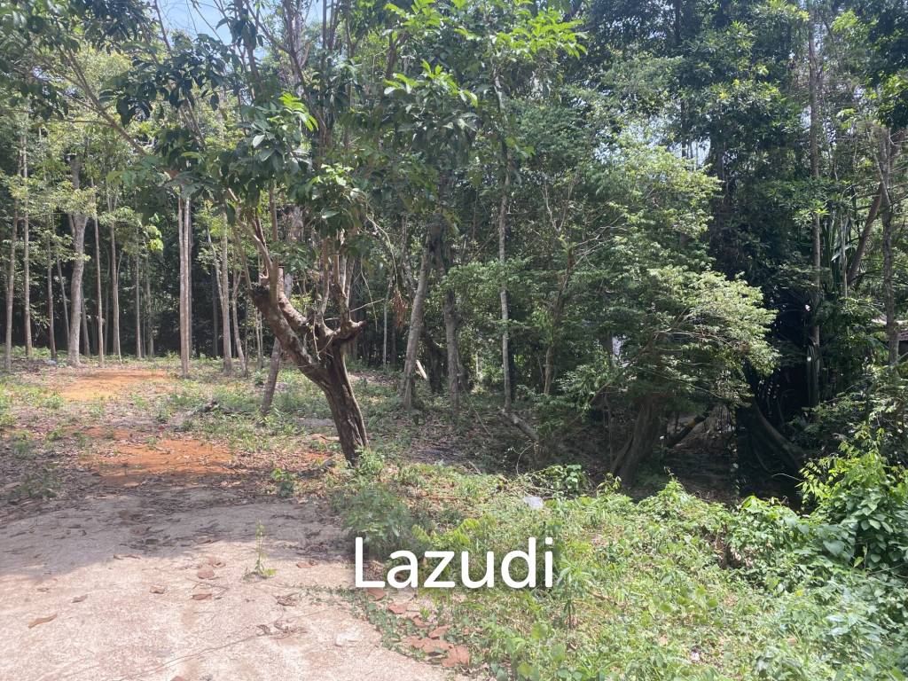 picture Riverside Bliss: 1784 Sqm Land near Elephant Sanctuary, Temple, and Waterfall in Maduwan – A Tranquil Haven with Natures Embrace - 10/11