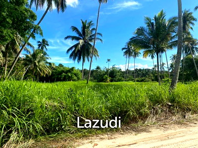 Land for sale : Prime Location – 3 Rai (4,800 sqm) of Opportunity, Just 1 Minute from All Amenities