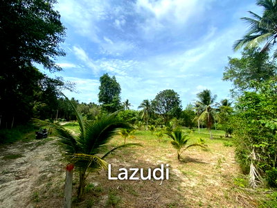 ที่ดิน สุราษฎร์ธานี : 3,200.0 ตร.ม.ที่ดินสำหรับ ขายใน บ้านใต้