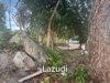 listing thumbnail image 15