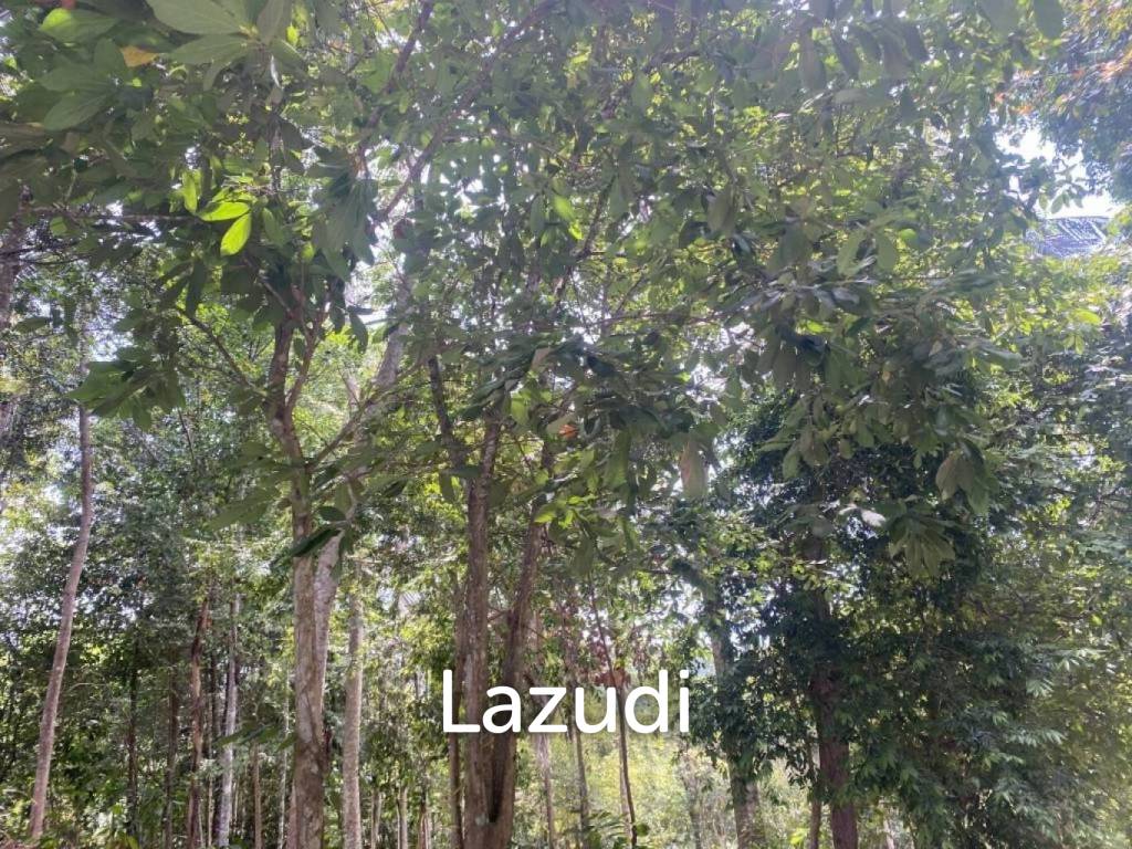 picture Riverside Bliss: 1784 Sqm Land near Elephant Sanctuary, Temple, and Waterfall in Maduwan – A Tranquil Haven with Natures Embrace - 5/11