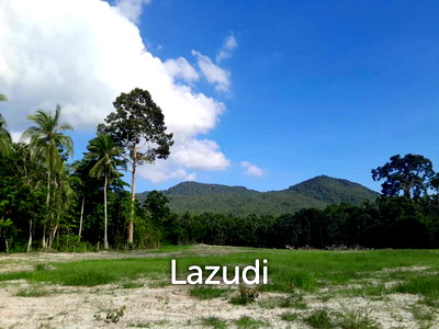 Land for sale Ko Phangan Surat Thani : Land for Sale in Ko Pha-ngan