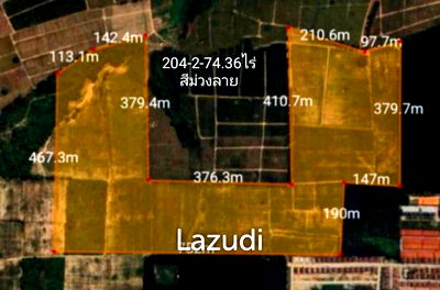 ที่ดิน เซ็นทรัล ศรีราชา : 204 Rai 2 Ngan 74.36 SQ.M. Land in Bowin