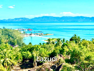 ที่ดิน เกาะพะงัน สุราษฎร์ธานี : 1,600.0 ตร.ม.ที่ดินสำหรับ ขายใน บ้านใต้