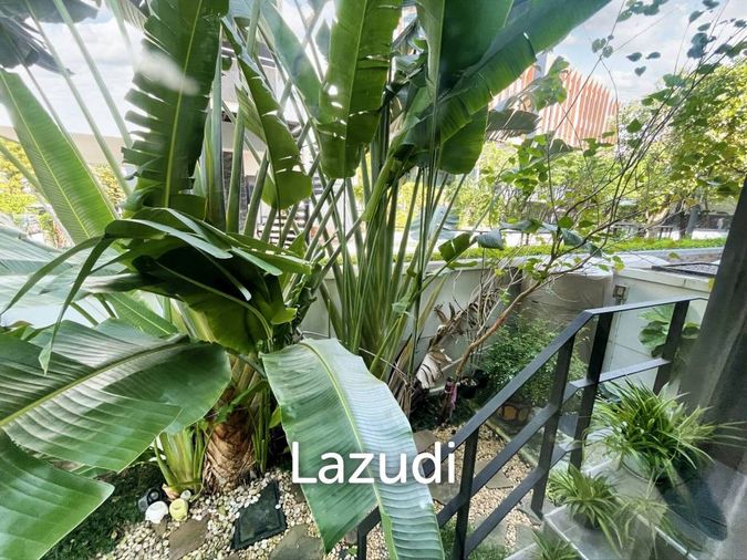 3-bed townhouse for sale, 200 sqm, 46.3 sq wah, Arden Rama 3