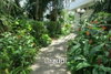 listing thumbnail image 17