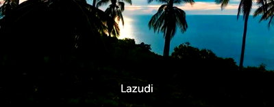 ที่ดิน สุราษฎร์ธานี : 40,000.0 ตร.ม.ที่ดินสำหรับ ขายใน บ้านใต้