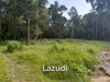 listing thumbnail image 13