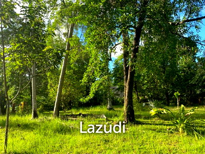 ที่ดิน สุราษฎร์ธานี : 400.0 ตร.ม.ที่ดินสำหรับ ขายใน บ้านใต้