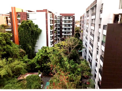 คอนโดให้เช่า : 🩵My condo sukhumvit 52🩵 @ian569 /please contract us🌸