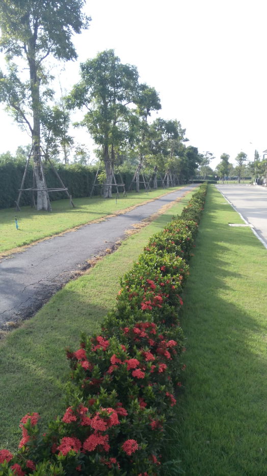 รูป ให้เช่าบ้าน The Park 2 มหาชัย สมุทรสาคร  - รูปที่ 17/17