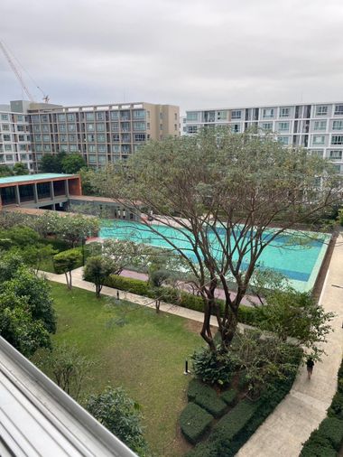 🚩ขาย ดีคอนโดซายน์ วิวสระ ตึกcชั้น6  30ตรม. ☎️064-792-4426