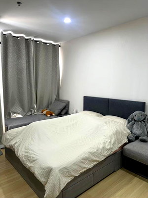 Condos for rent : Condo For Rent Supalai Veranda Ramkhamhaeng (B6805043) ID Line : @condo88