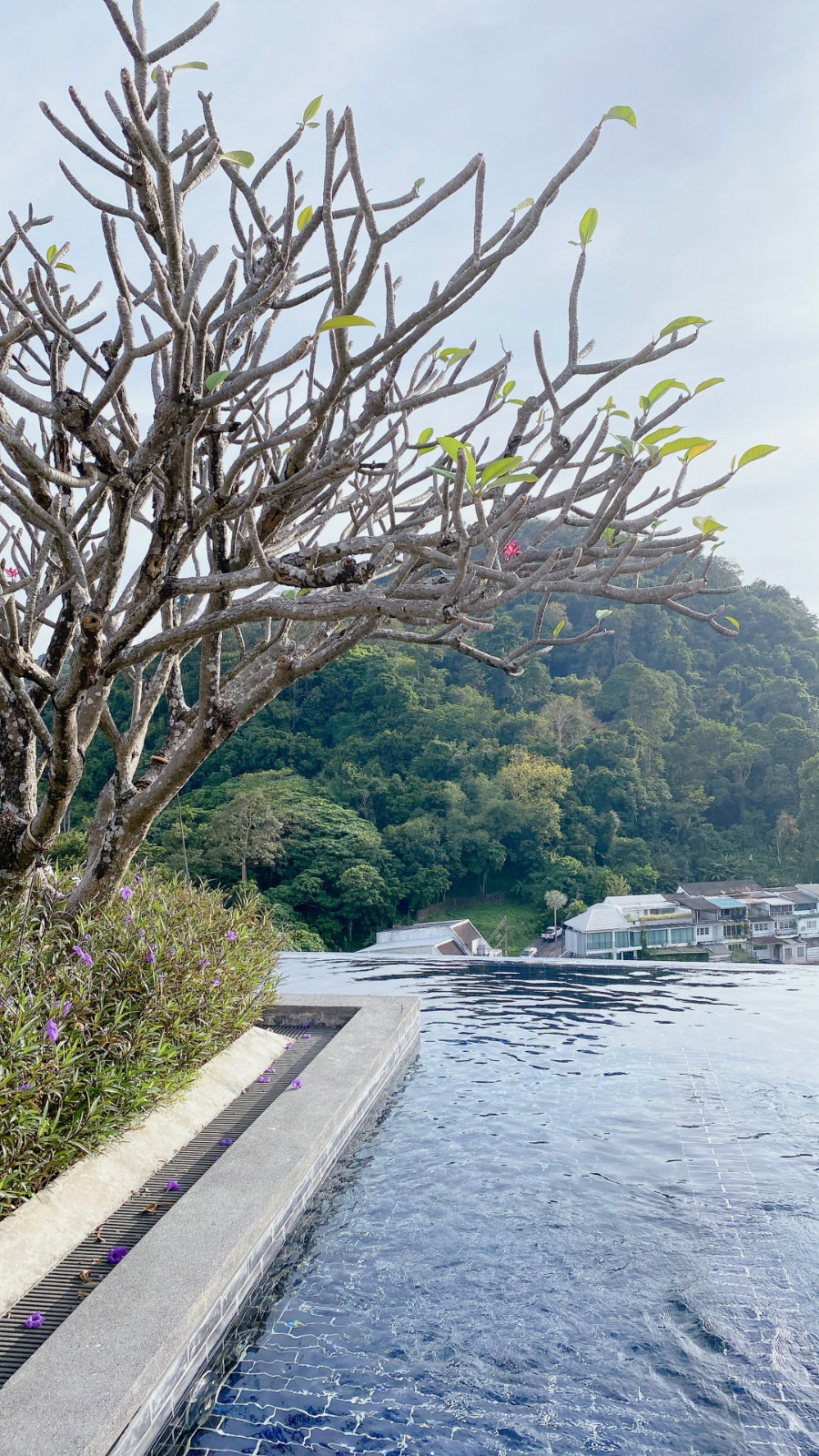 The Base Height Phuket For Sale - image 5