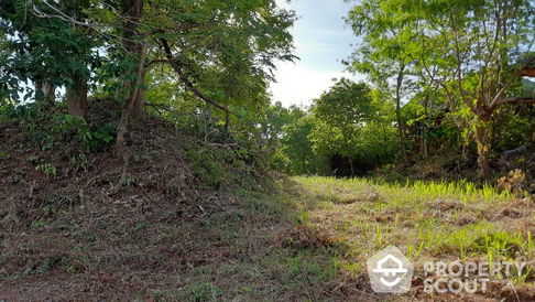 2,811.6 m² Land for Sale close to Nai Harn (ID 2107889)