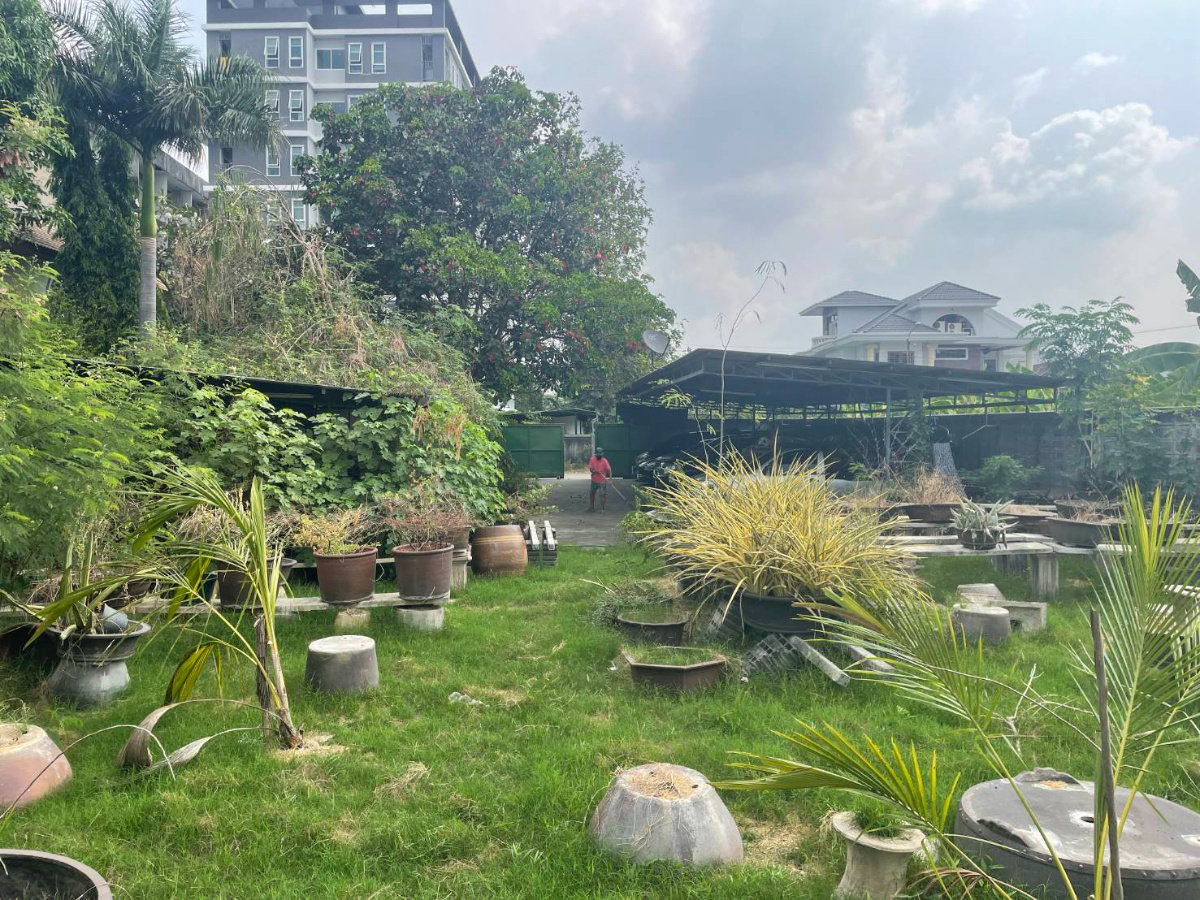 ขายที่ดินสุขุมวิท 77 แปลงใหญ่ 191 ตร.ว อ่อนนุช 14  ใกล้ BTS อ่อนนุช ถนนหน้าที่กว้าง สภาพแวดล้อมดี เงียบสงบ ปากซอยมีแม็คโคร ปรีดี พัฒนาการ 0879074045