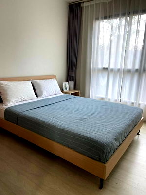 Condos for rent BTS On Nut : Condo for Rent at Life Sukhumvit 48 (E6805061)