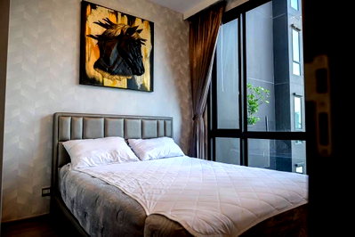 Condos for rent : MN2661 Whizdom Avenue Ratchada Ladprao 