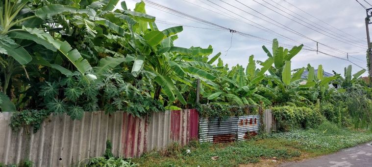 ขายที่ดิน 339 ตร.ว. เขตหนองแขม