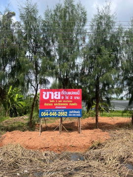 ขายที่ดิน 9 ไร่ 1 งาน 28 ตารารางวา ถนนหมายเลข 3200 สายฉะเชิงเทรา-บางน้ำเปรี้ยว พร้อมสวนทุเรียน
