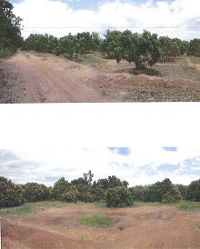 ที่ดินเปล่า 315072 square meter Lamphun Wieng Nong long Nong Long for 20890000 THB