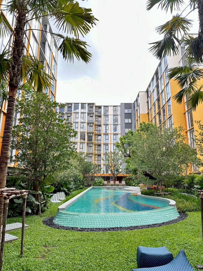 picture The Base Rise For Sell WR-03317 - 12/12