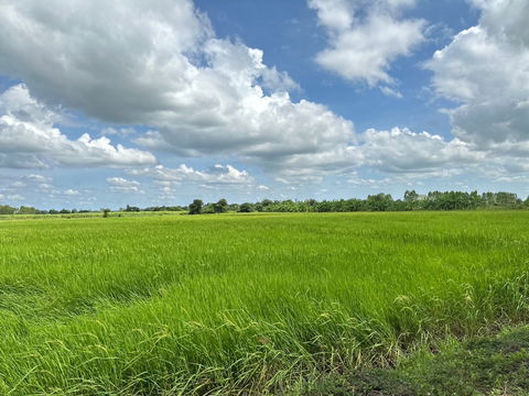 ขายที่นา ติดคลองชลประทาน ใกล้เมืองขอนแก่น – เหมาะทำบ้านสวนหรือทำนา