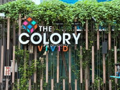 The Colory Vivid - Image 4/10