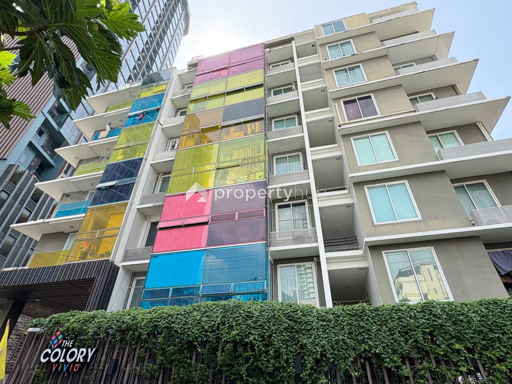 Project The Colory Vivid Picture - 1/10