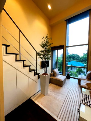 Condos for rent : LOFT MORPH 38  THONG LOR PET FRIENDLY 