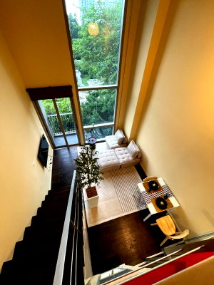 Condos for rent : LOFT MORPH 38  THONG LOR PET FRIENDLY 