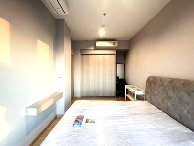 Condos for rent Soi Udomsuk (Sukhumvit 103) : Condo for rent in Whizdom Connect (Punnawithi Station) 