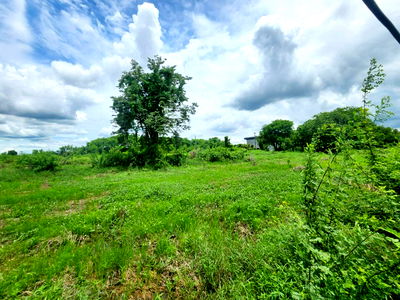 Land for sale Pathumthani : Land for sale, Khlong Hok Subdistrict, Pathum Thani Province, 67.5 square wah