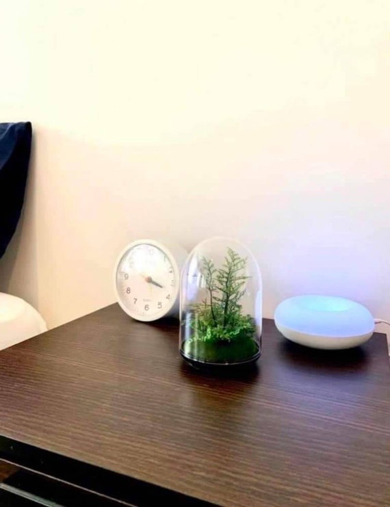 รูป 🎈 #R2301_169🎈💥ด่วน💥ว่าง18มิ.ย.69 รีบคลิก ก่อนหลุดมือ‼️ 𝗙𝗼𝗿 𝗥𝗲𝗻𝘁 9️⃣k.🔥🔥#ใกล้BTSแบริ่ง คอนโด ไนท์บริดจ์คอลลาจสุขุมวิท107 - รูปที่ 26/32