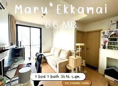 คอนโด ซอยทองหล่อ (สุขุมวิท 55) : 🟪🟦🟩🟨🟧 ขาย MARU EKKAMAI 2 🐶 Pet-Friendly Condo ( 6.6 M ) 🛎️🛎️ | 𝗟𝗶𝗻𝗲@: @𝗮𝘀𝘀𝗲𝘁𝘀𝗽𝗿𝗼