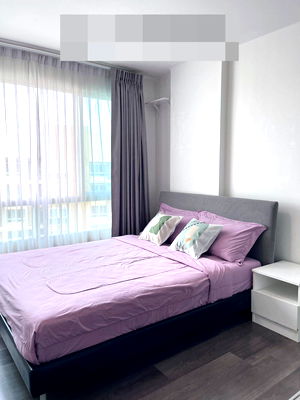 Condos for rent Khlong Luang Road : dcondo Campus Resort Rangsitdcondo Campus Resort Rangsit