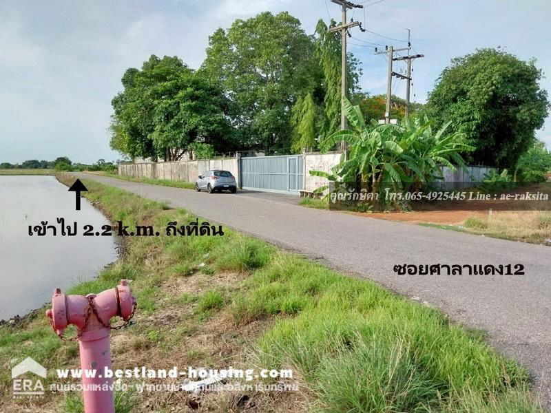 รูป ขายที่ดิน 8-2-1 ไร่ ต.ดอนฉิมพลี อ.บางน้ำเปรี้ยว จ.ฉะเชิงเทรา ใกล้หนองจอก ที่ดินเป็นน้ำ - รูปที่ 12/24