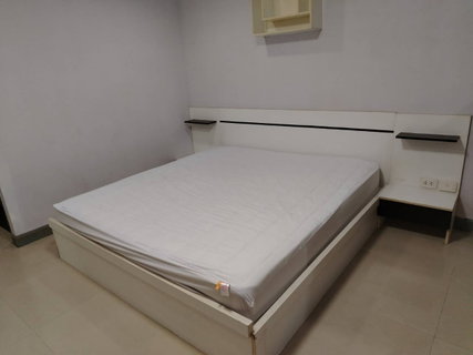 รูปภาพ Room For Rent Condo Regent Home 7 Bangna 