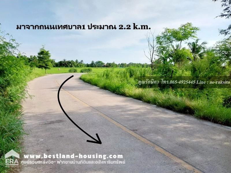 รูป ขายที่ดิน 8-2-1 ไร่ ต.ดอนฉิมพลี อ.บางน้ำเปรี้ยว จ.ฉะเชิงเทรา ใกล้หนองจอก ที่ดินเป็นน้ำ - รูปที่ 5/24
