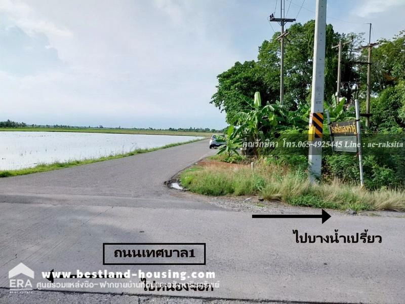 รูป ขายที่ดิน 8-2-1 ไร่ ต.ดอนฉิมพลี อ.บางน้ำเปรี้ยว จ.ฉะเชิงเทรา ใกล้หนองจอก ที่ดินเป็นน้ำ - รูปที่ 15/24